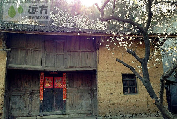 湖北郧县樱桃沟 拥一袭满满的花香入梦