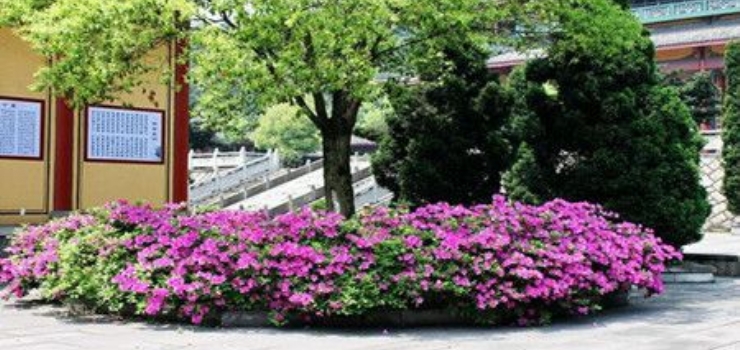 大智禅寺