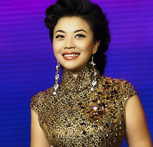 2013苍溪梨花节演唱会的明星有:陈慧琳,张杰,杨钰莹,张也,江涛,玖月