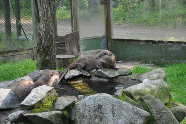 北欧行之一宁静悠闲的赫尔辛基