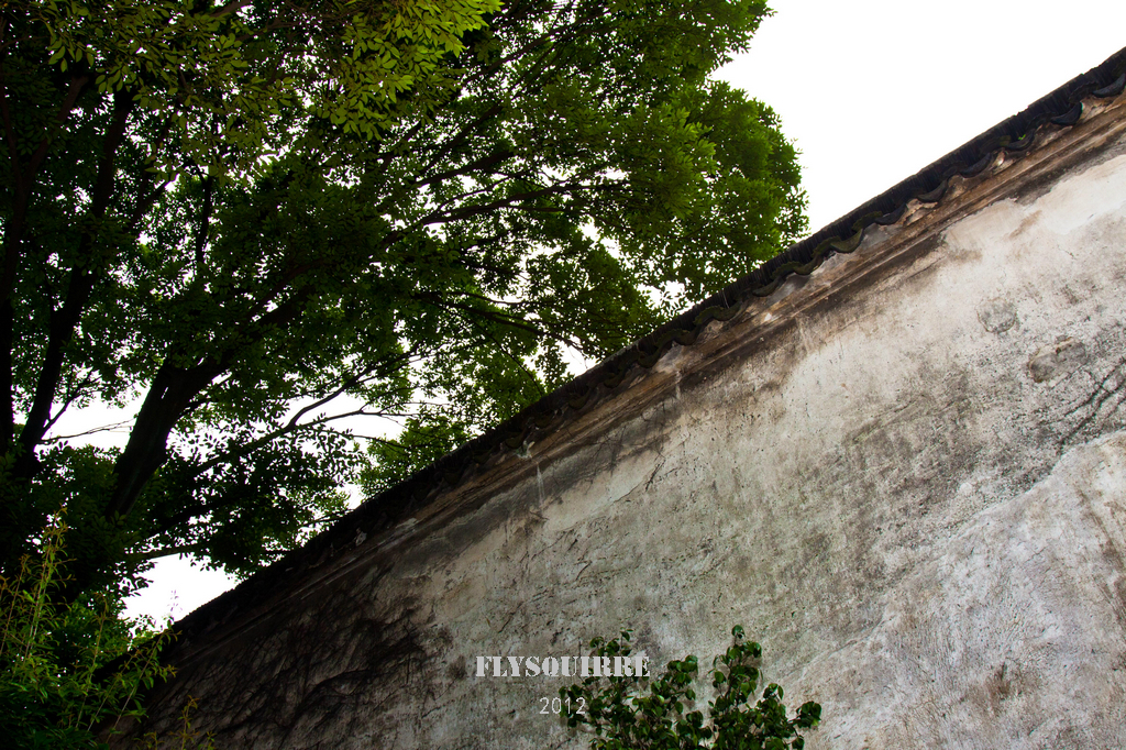 建筑物约占园总面积四分之一.