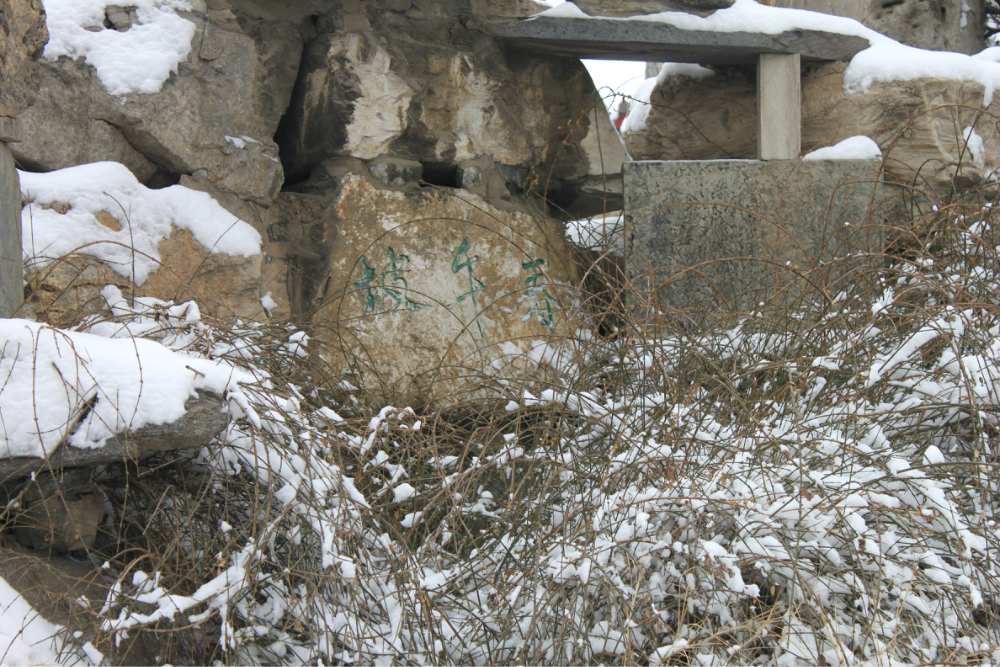 保定古蓮花池 雪後漫步,保定自助遊攻略 - 馬蜂窩