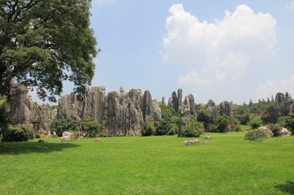 一座座石山拔地而起,非常壮观!中间的亭子是望峰亭,是这里的最高点!