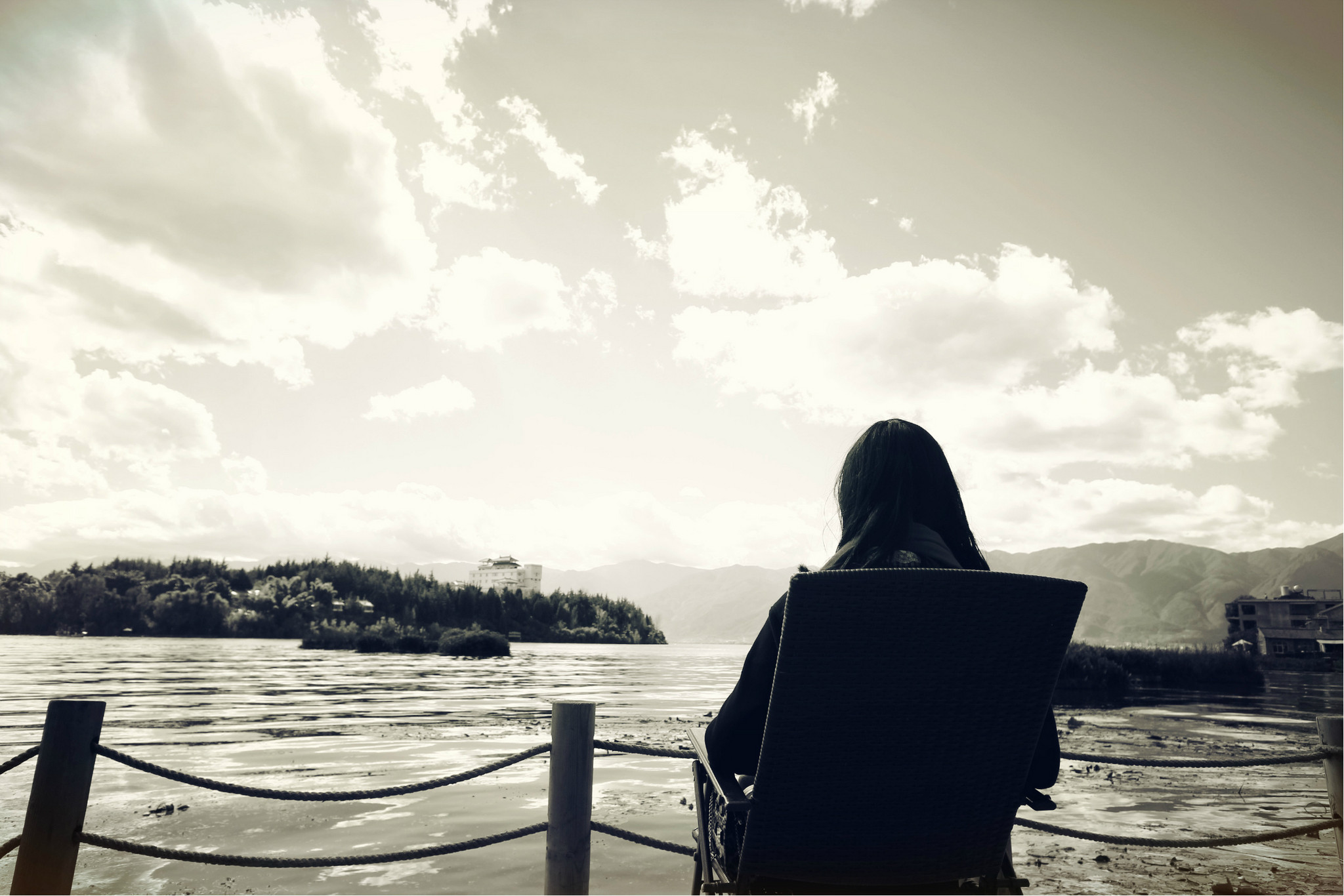 背影凝望展翅高飞飞跃