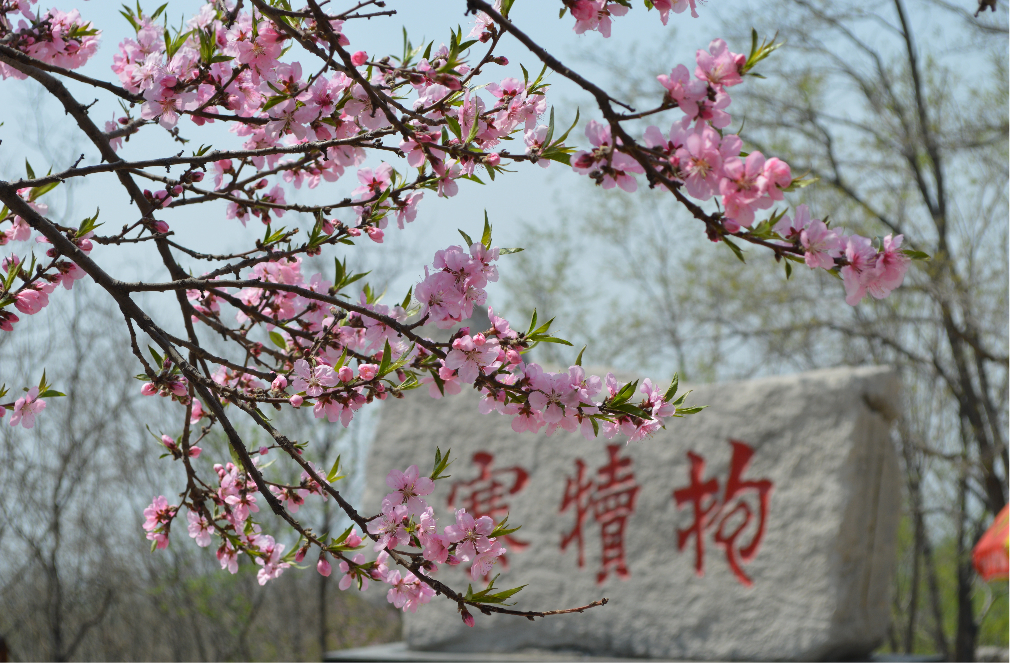 想锻炼、赏景、不花钱的看过来——全景抱犊寨