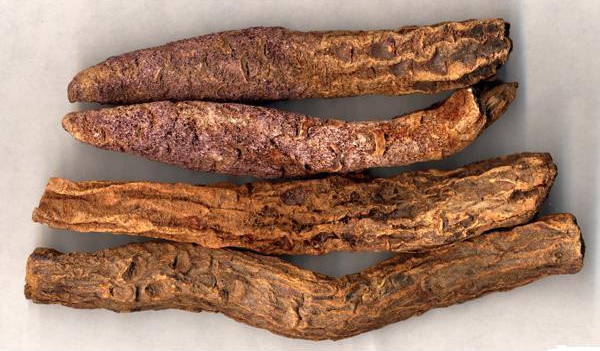 锁阳在巴丹吉林镇上的特产店,商场都能买到贺兰山野生蘑菇.