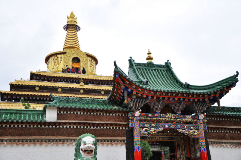 桑科草原而后往甘加草原的八角古城遗址进发.