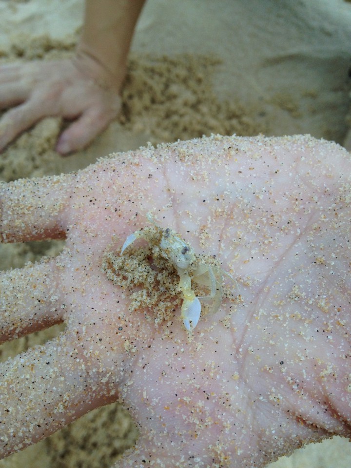 【爱丽丝游记】海陵岛周末两日行,海陵岛自助游攻略 - 马蜂窝