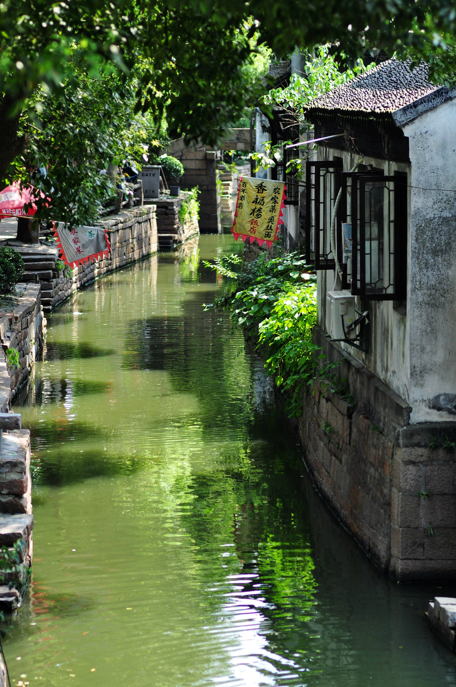 【品味江南】第五季 花絮