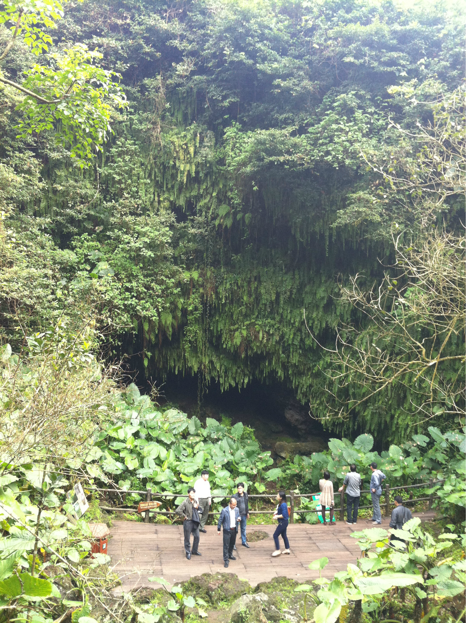 海南海口火山口公園