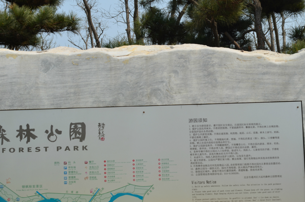 北京通州大运河森林公园踏青