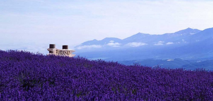 龙集山