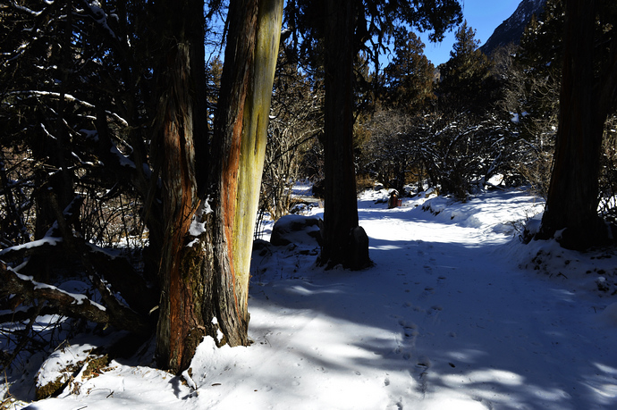 【米亚罗毕棚沟·雪景醉美如画(下)】(图组/37p)
