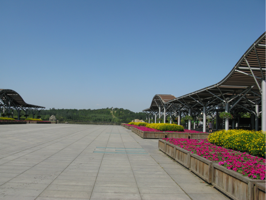 遊奧林匹克森林公園