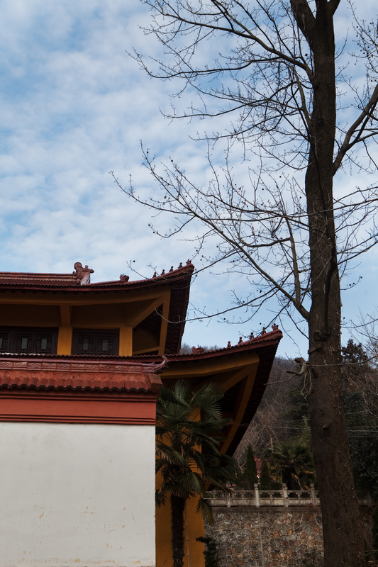 新年第1遊——南京浦口 兜率寺 & 生態農場