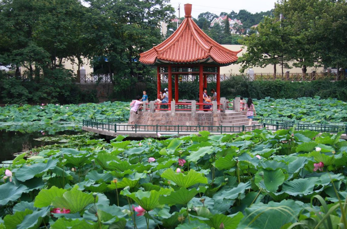 青島中山公園有什麼好玩的?