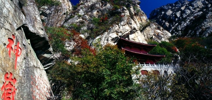 嵩阳景区（嵩阳书院）