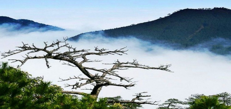 德化石牛山