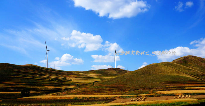 回京週六:早閃電湖日出,中午灤河神韻,下午天鵝湖日落,入住沽源 縣城