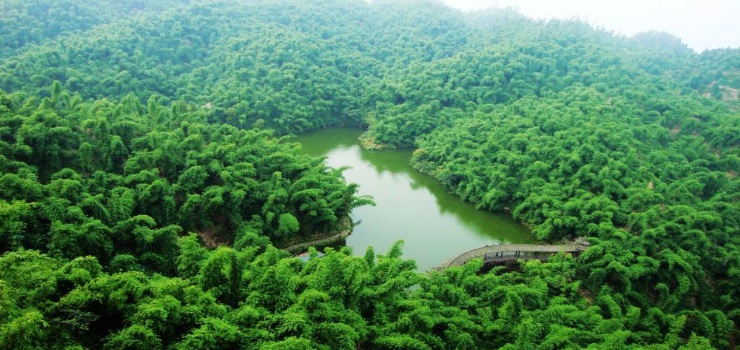 沐川竹海