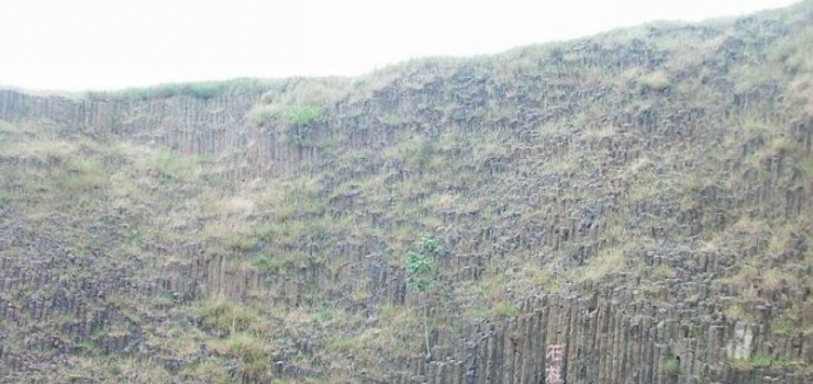 桂子山石柱林 桂子山石柱林