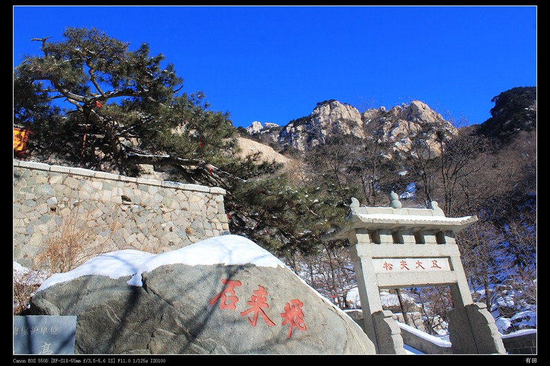 五大夫松下即是雲步橋,橋畔石刻眾多,以我等俗物的眼睛來看,也覺得