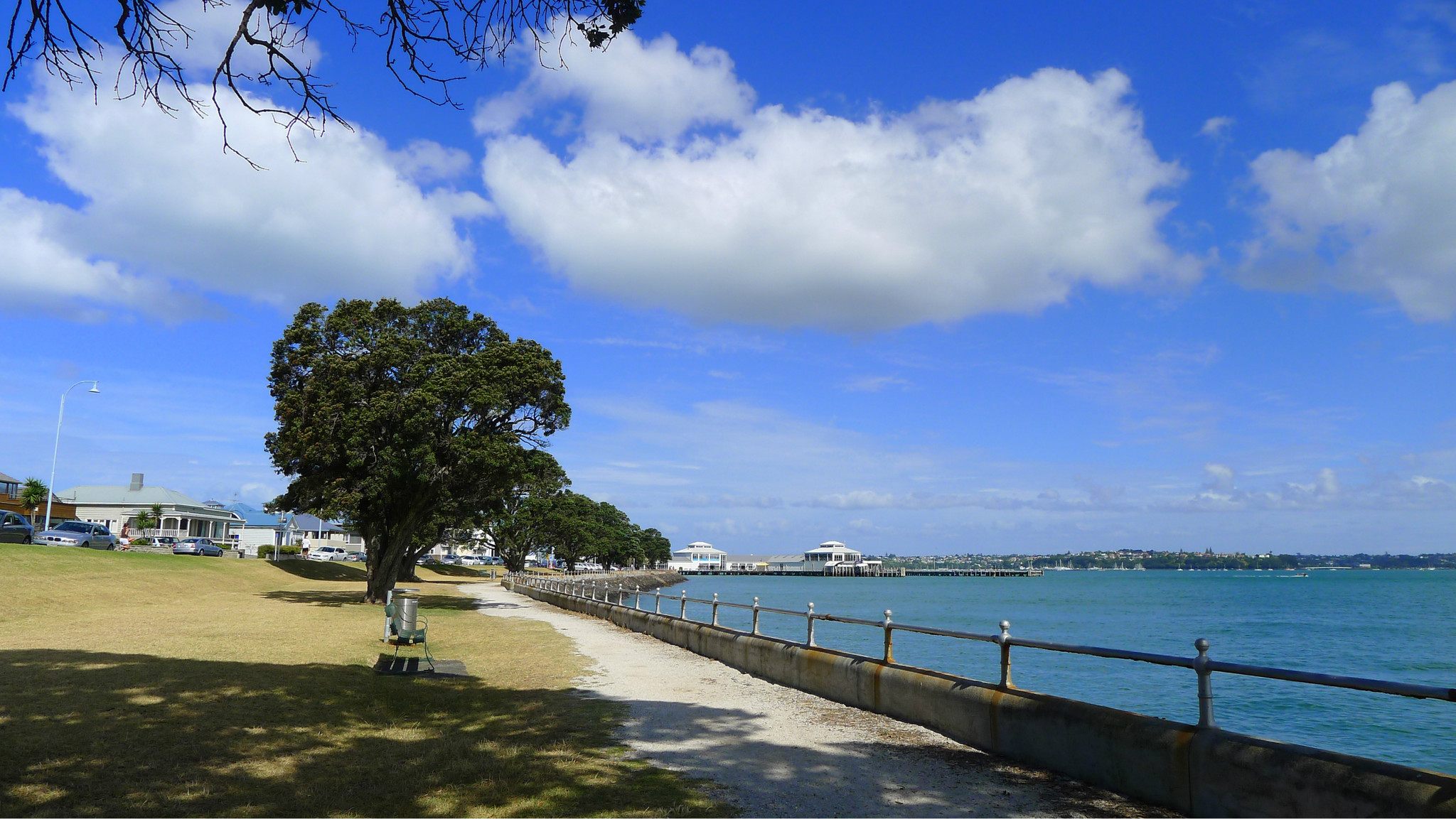 新西兰北岛闲逛奥克兰岛屿湾