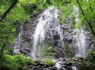 望天鹅风景区