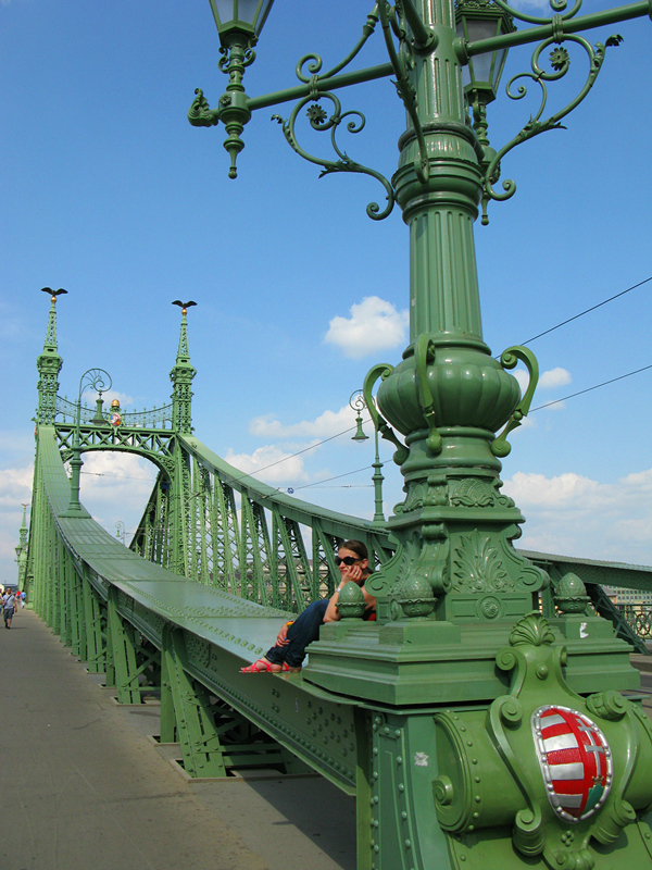 锁链桥自由桥匈牙利多瑙河上最美丽的桥