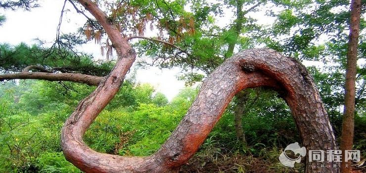 河源万绿湖风景区