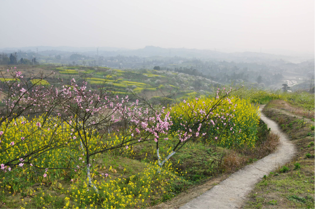 2013年3月鬼鬼啦啦媽咪重慶武隆墊江行,重慶旅遊攻略 - 馬蜂窩