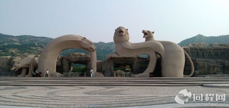 青岛灵珠山（滑雪）滑草场