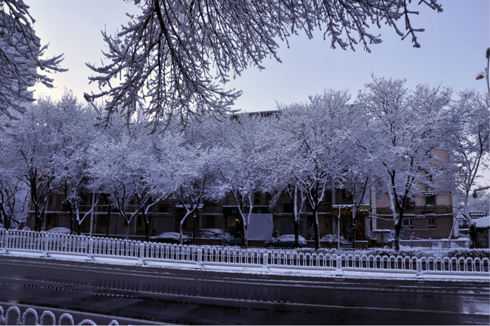 春分時節雪花飄,我愛你北京的雪.