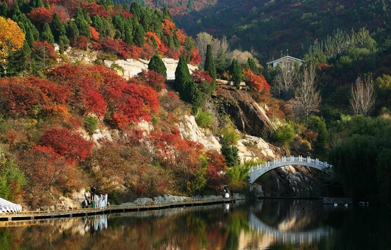 濟南紅葉谷,紅葉谷一日遊,紅葉谷門票價格-交通