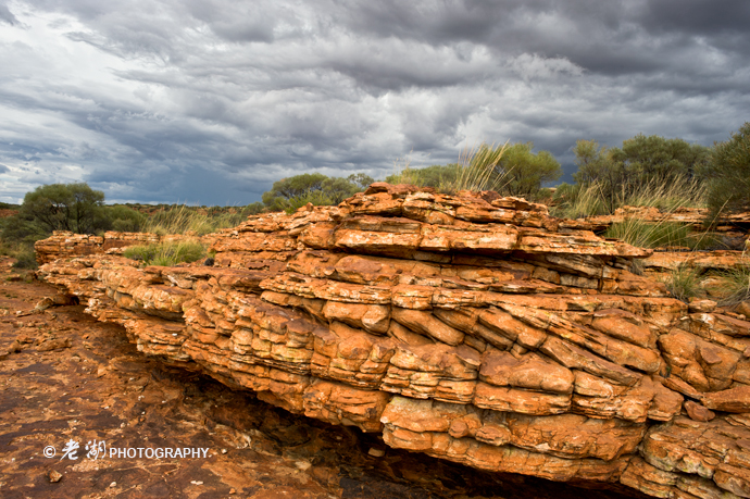 德累斯顿美食-Ayers Rock