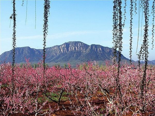 日照桃花岛风情园图片