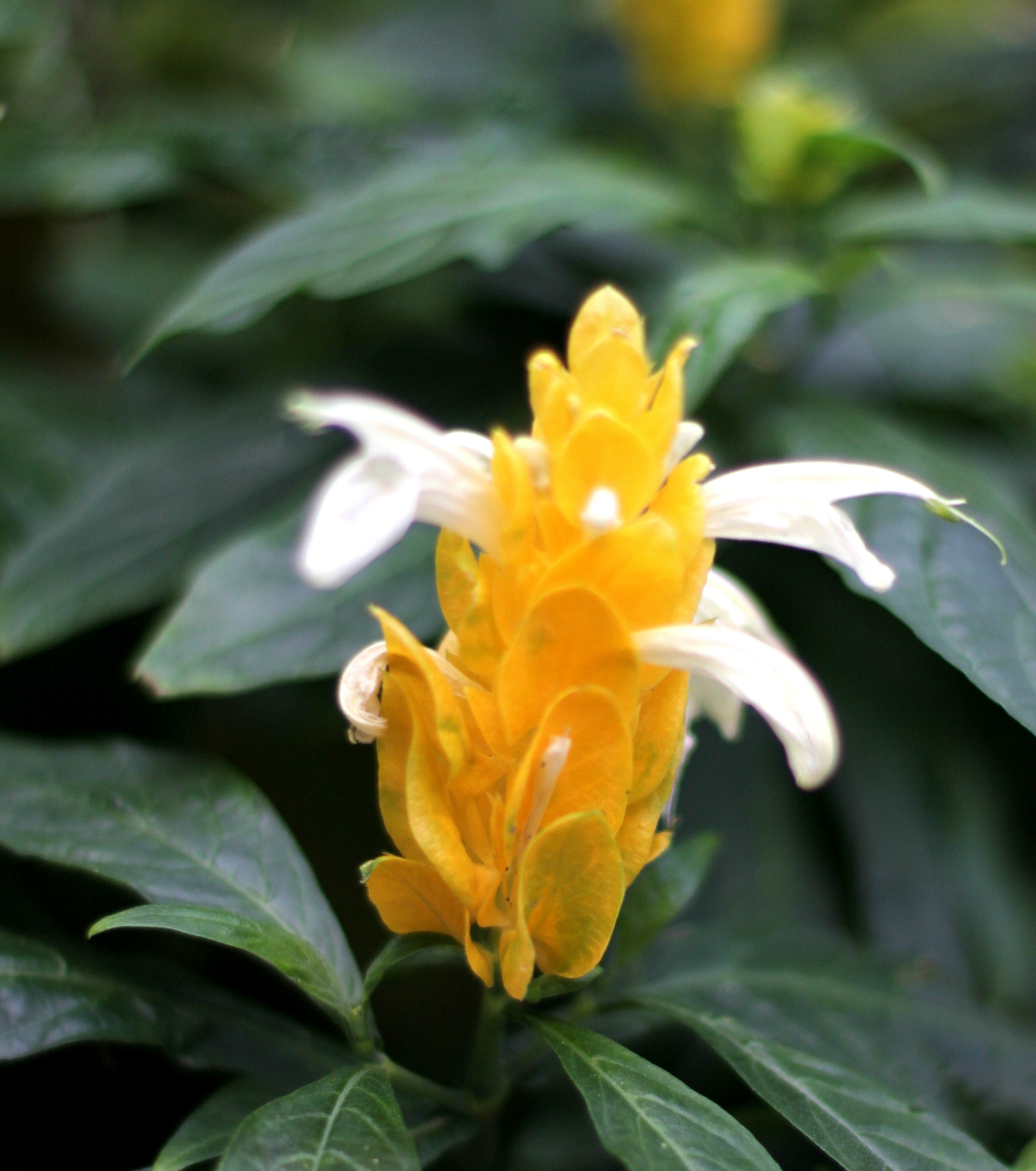 春暖花会开 - 马蜂窝