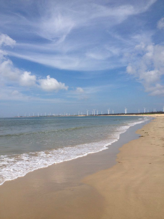 又不怕麻烦,你想发现原生态的景色,你一定要到揭阳市惠来县靖海镇来玩