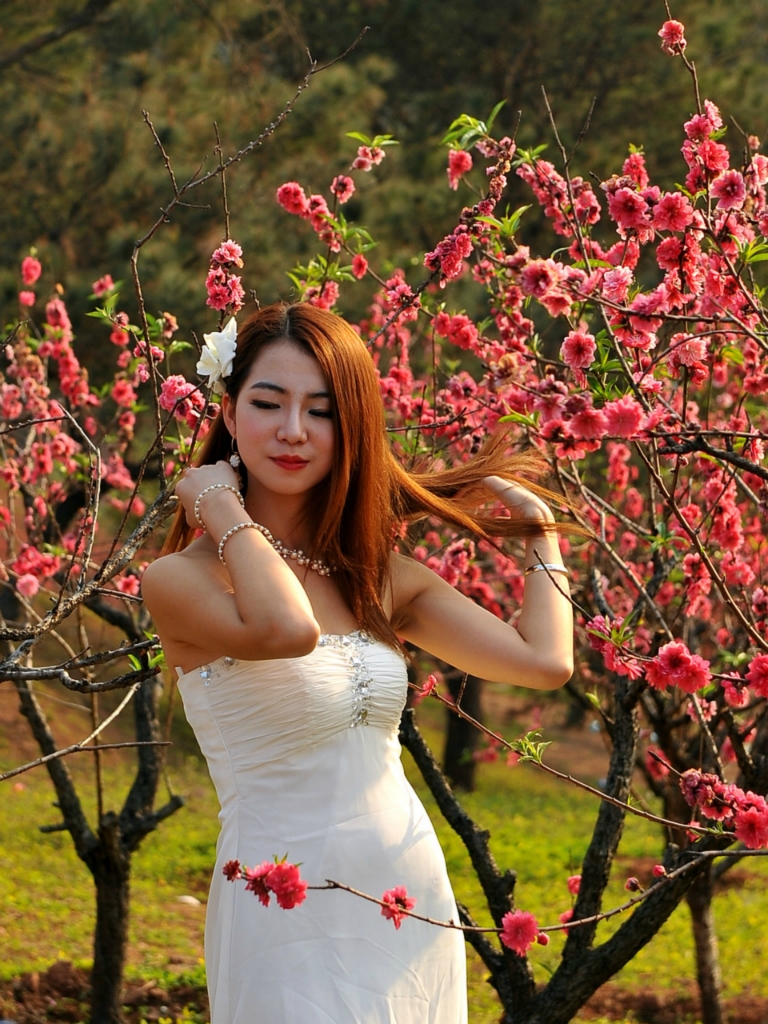 回复游记:番禺南沙大岗镇18罗汉山之桃红梨白争春吐艳