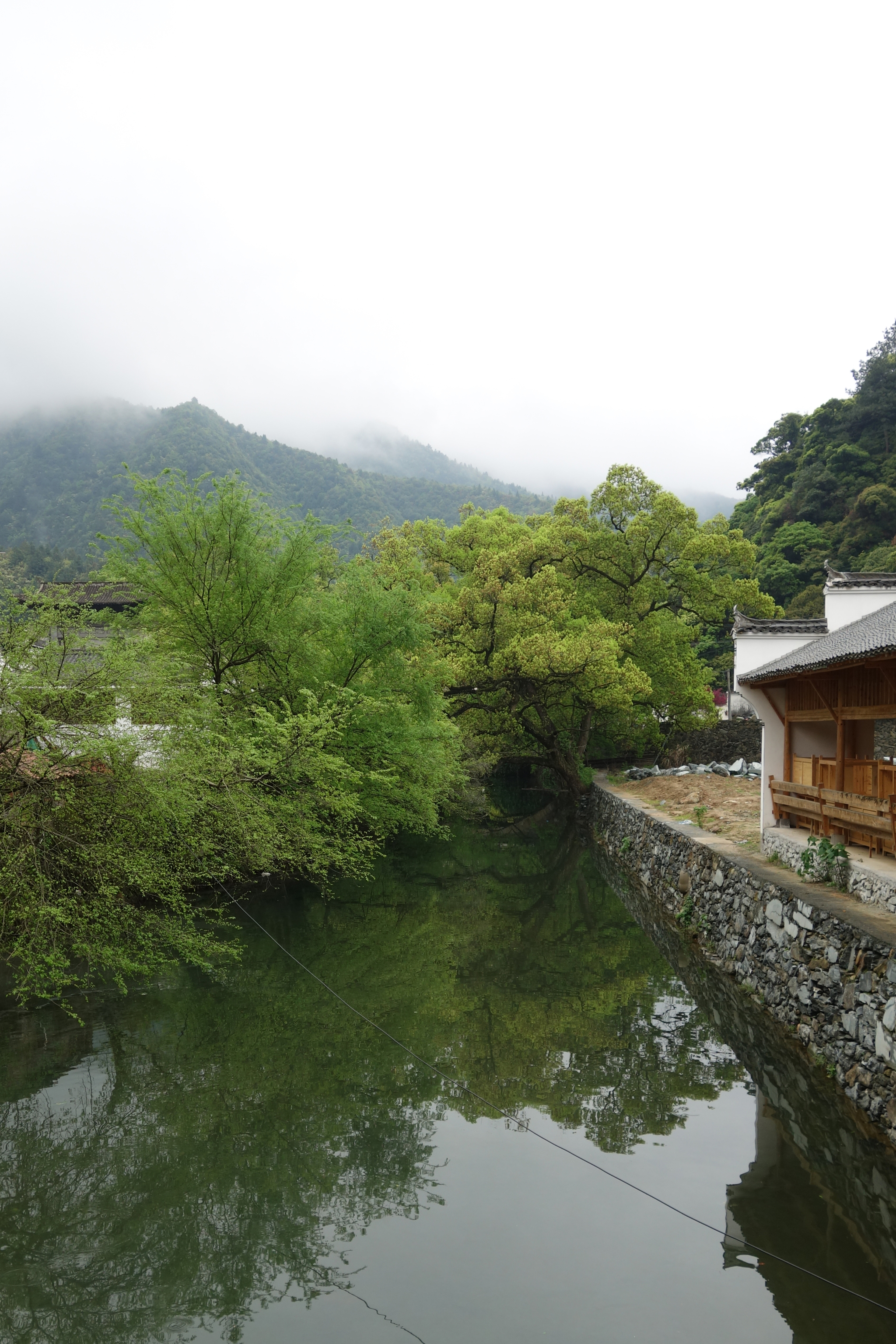 婺源旅遊攻略 - 馬蜂窩