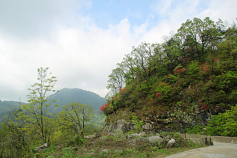 遊六安馬鬃嶺 (一)