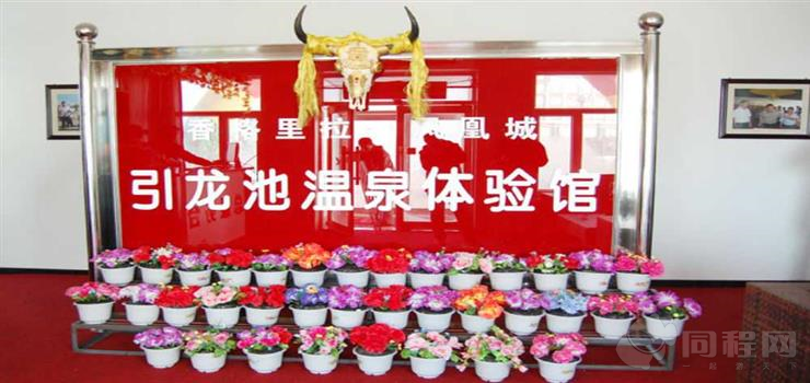 凤凰城引龙池温泉体验馆