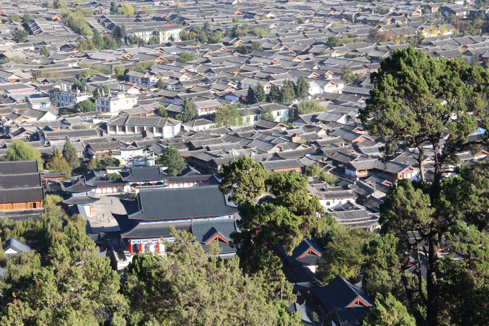 萬古樓麗江古城全景