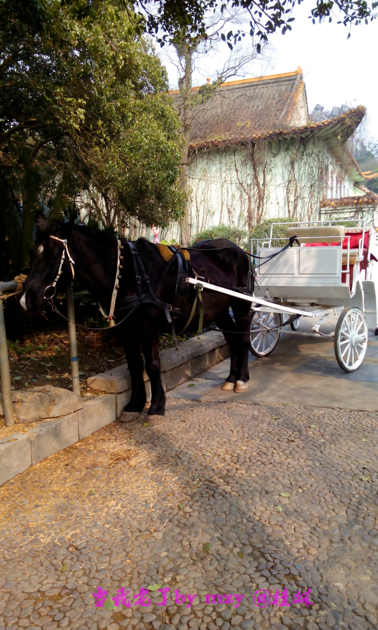 七星公园  架马游七星