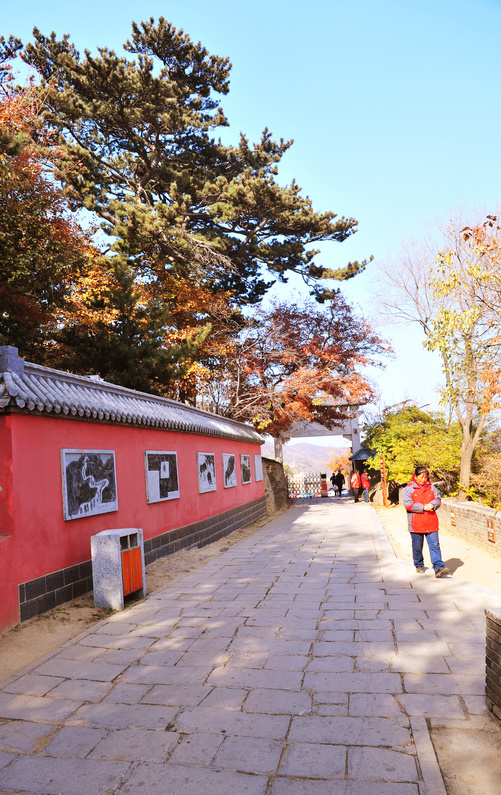 2013年10月30日妙峰山拍攝紅葉小記