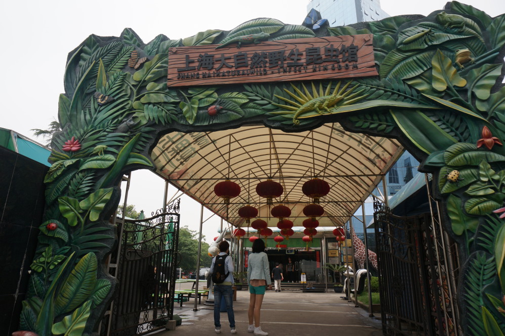 Shanghai Nature Insect Museum - China ChengDu Tours, Chengdu Panda Volunteer