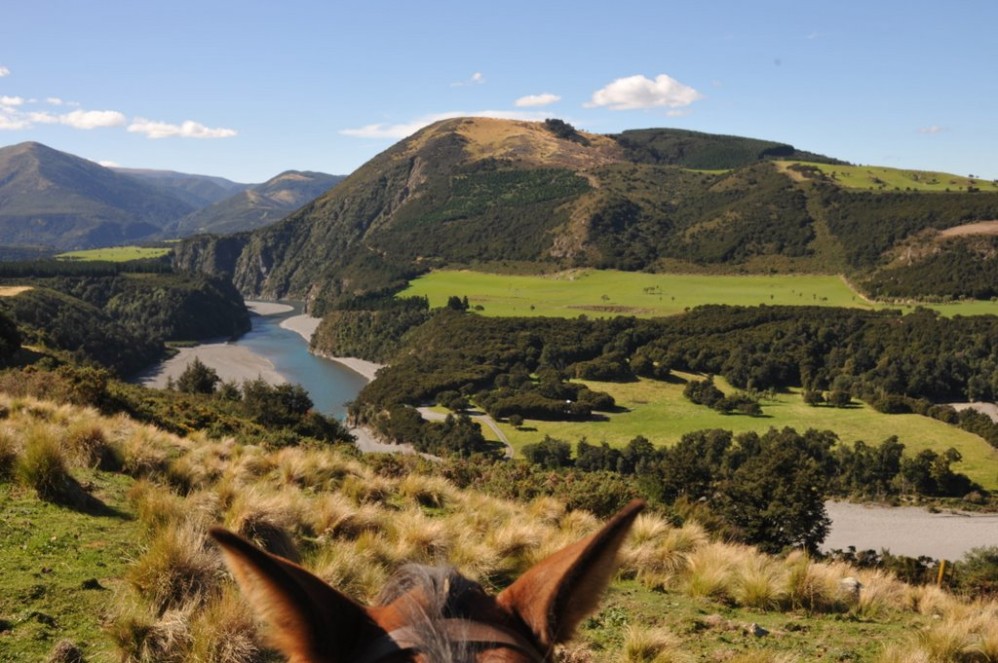 Rubicon Valley Horse Treks