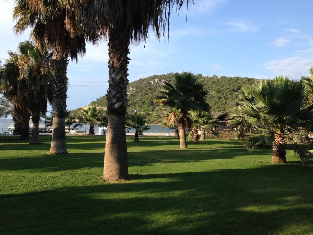 赛普拉斯海滩酒店 Selvi Beach Hotel