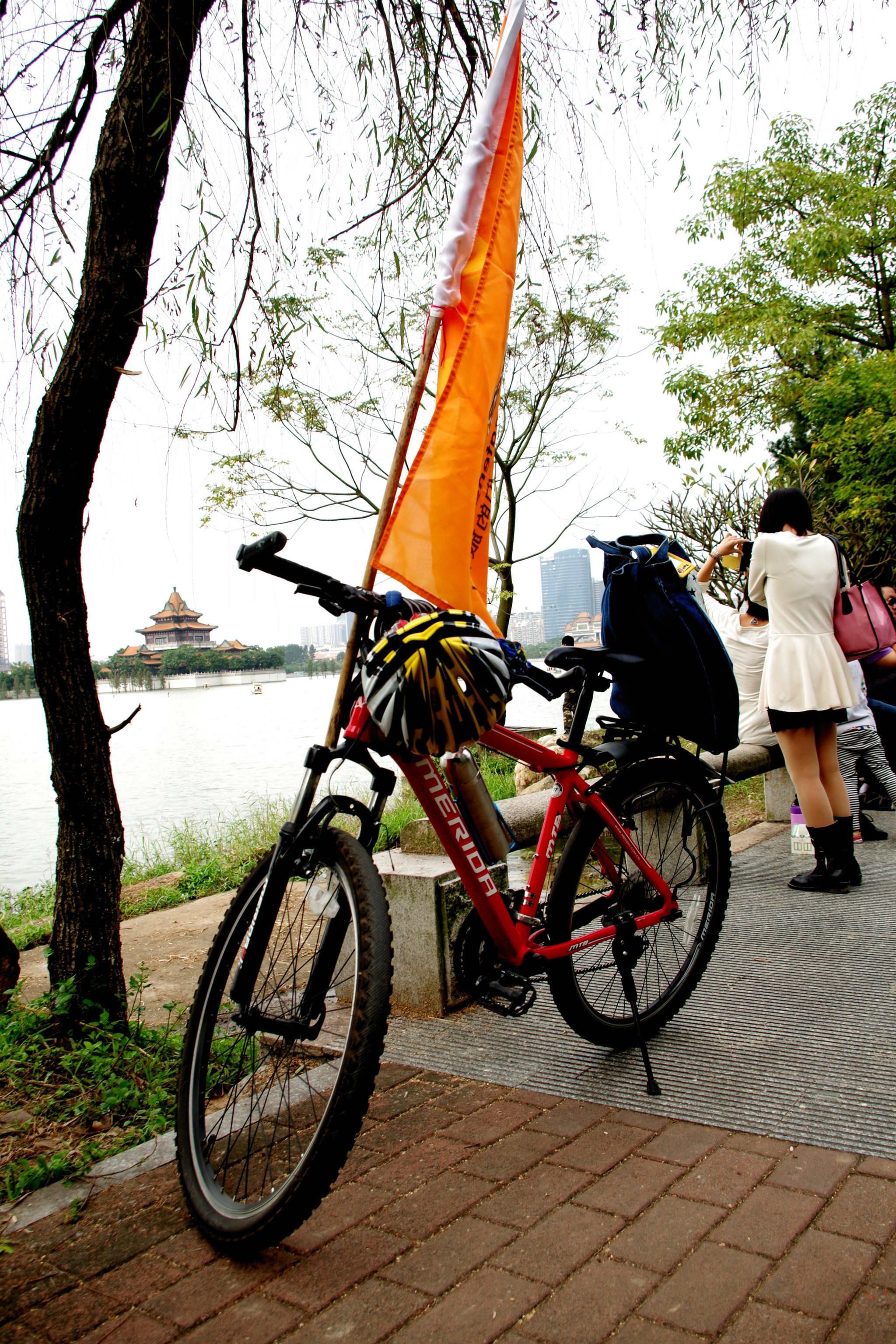 1117蚂蜂窝佛山舵首次出游活动顺德大良顺峰山游玩