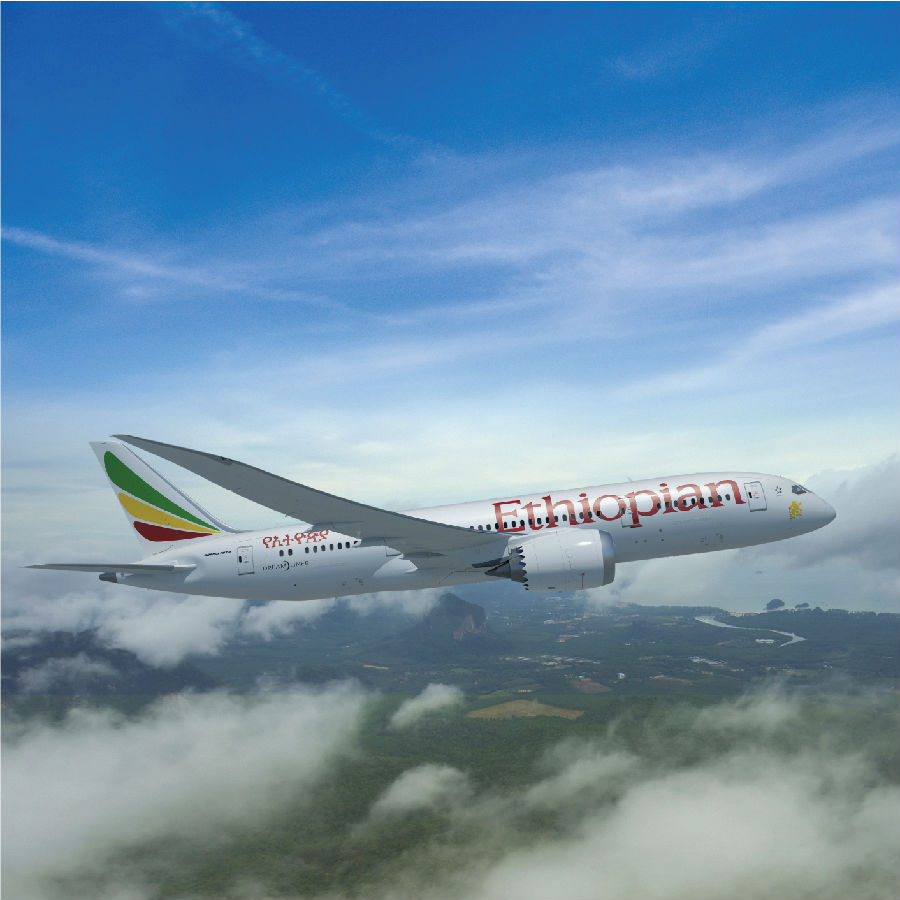 埃塞俄比亚航空荣获“2013年非洲最佳航空公司”和“2013年非洲最佳机组”双重奖项 